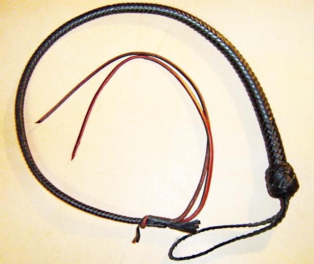 quirt définition What is